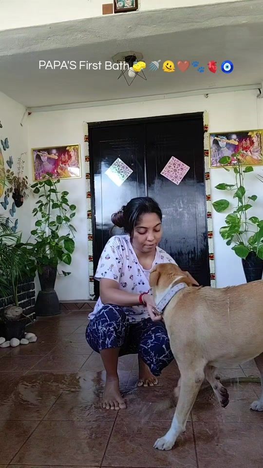 TikTok video thumbnail by ravina2099