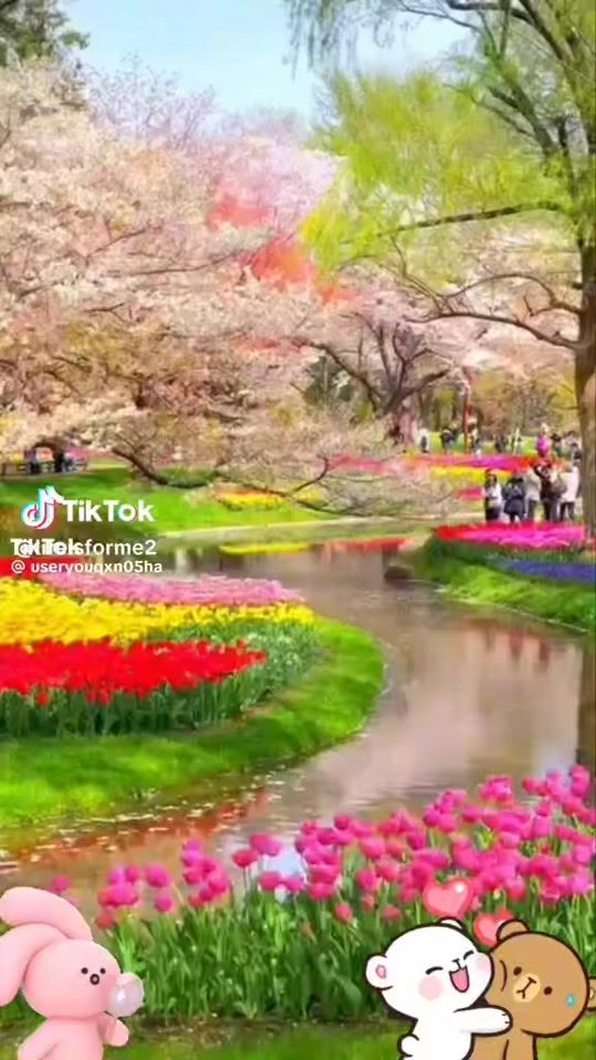 TikTok video thumbnail by user61981282237012