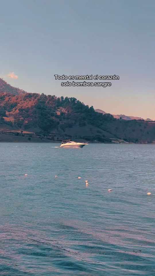 TikTok video thumbnail by yane_lh