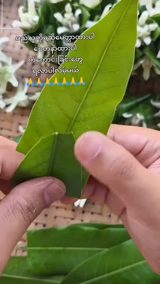 TikTok video thumbnail by kalaw_thar_lay