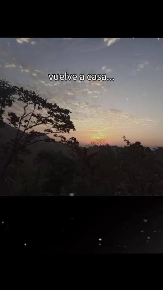 TikTok video thumbnail by urser268945
