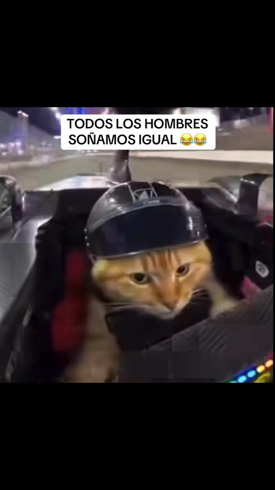 TikTok video thumbnail by diegoxavier1989_