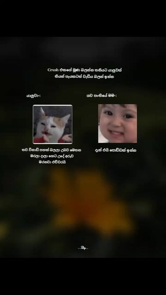 TikTok video thumbnail by tity_0530
