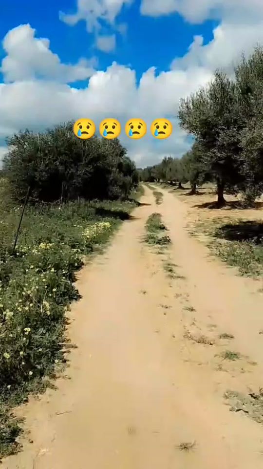 TikTok video thumbnail by foufa506