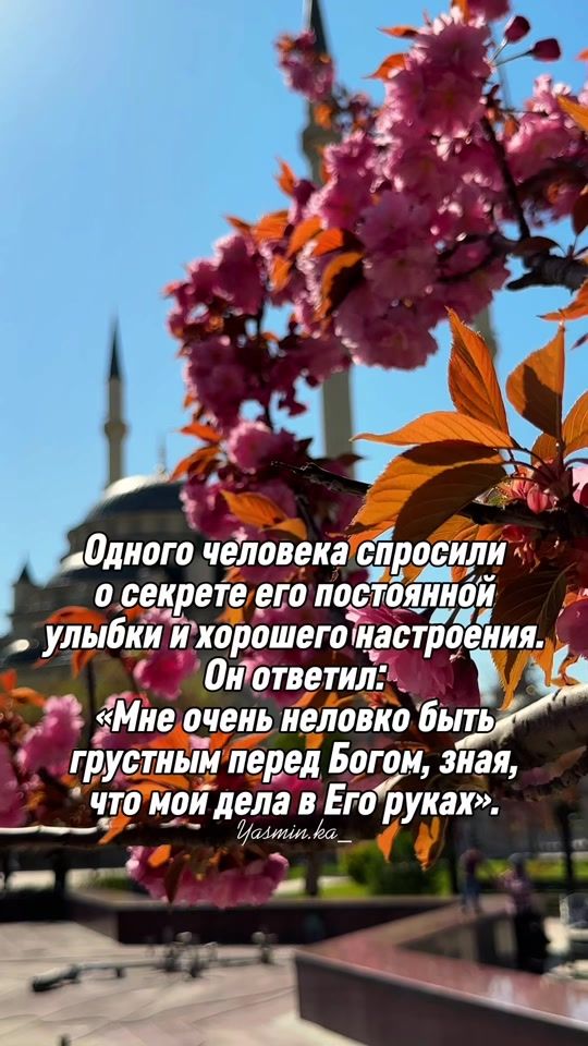 TikTok video thumbnail by .yasminka_