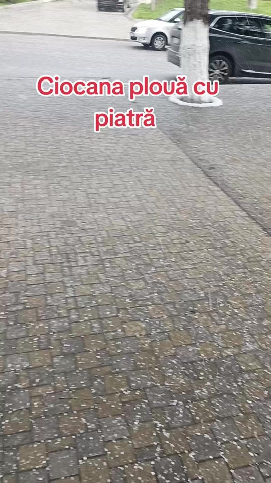 TikTok video thumbnail by petruha.evacuator