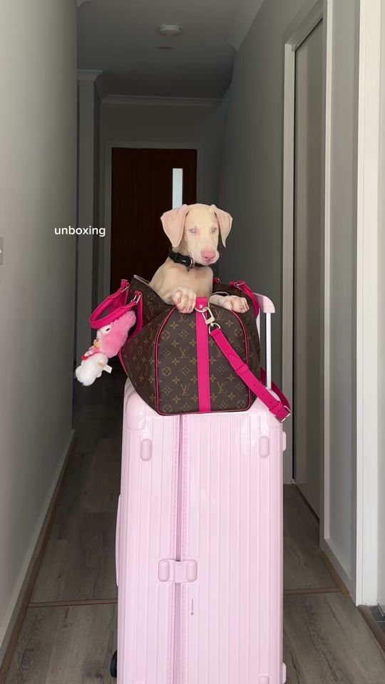 TikTok video thumbnail by tayzoen