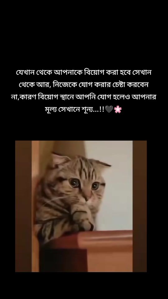 TikTok video thumbnail by user577282912030