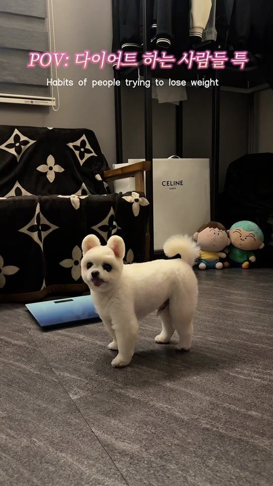 TikTok video thumbnail by drh_zzz