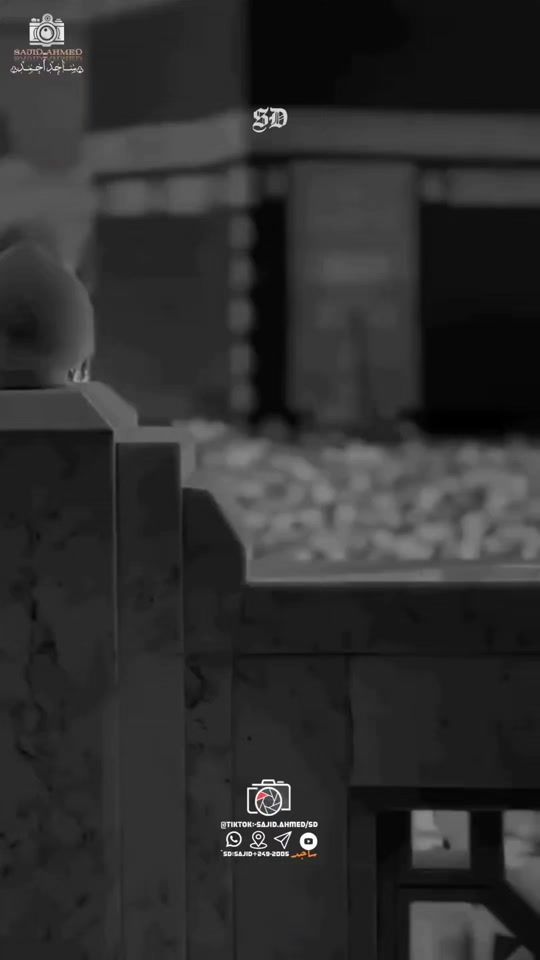 TikTok video thumbnail by sajd___ahmed