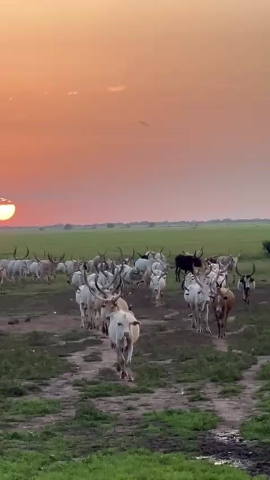 TikTok video thumbnail by ariathgolden