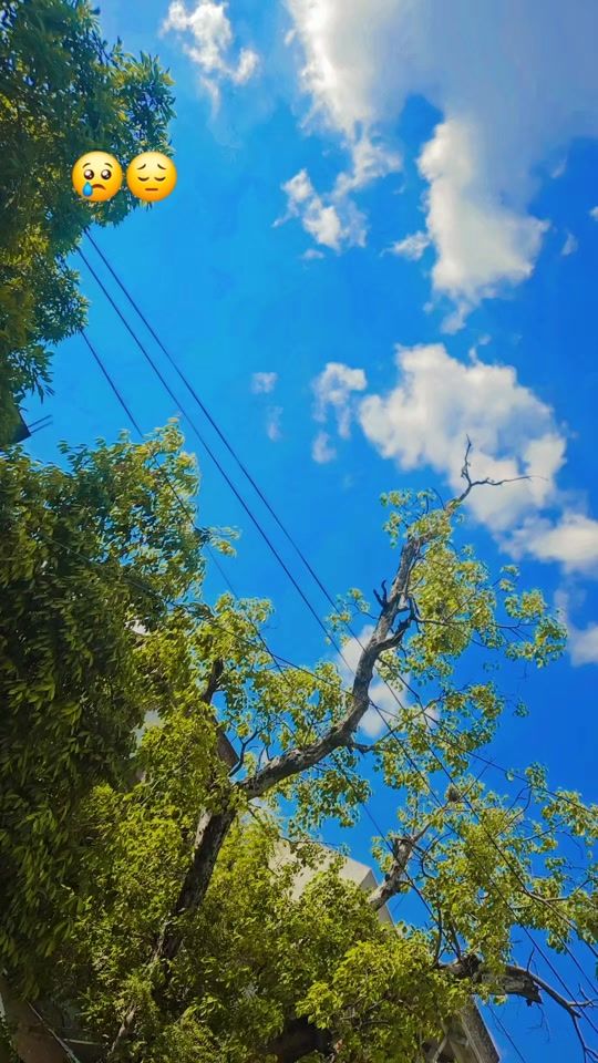 TikTok video thumbnail by priyankapal702