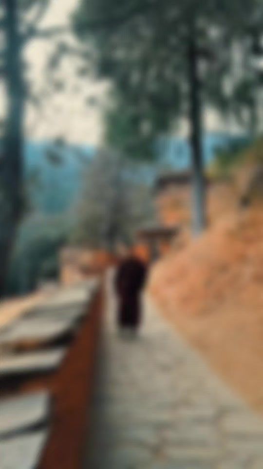 TikTok video thumbnail by yeshey.namdrol