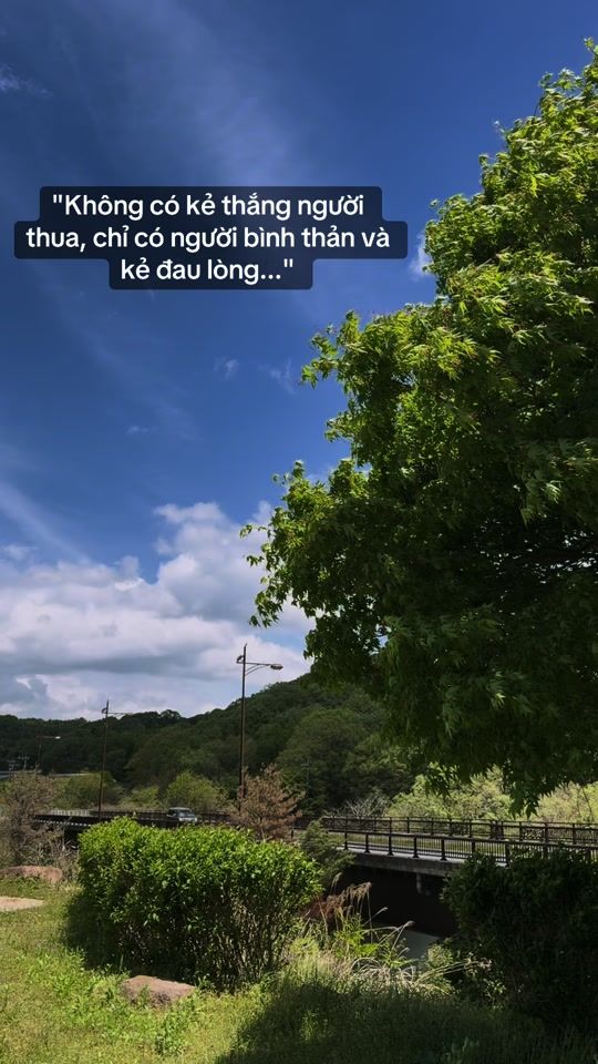 TikTok video thumbnail by pumtrieu