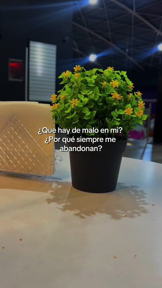 TikTok video thumbnail by mediaa_luna