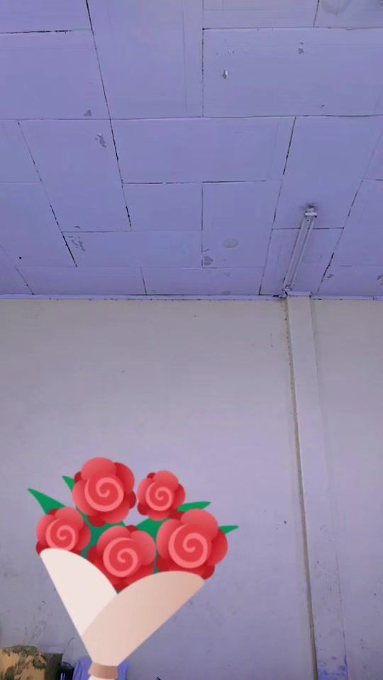 TikTok video thumbnail by user2178447328700