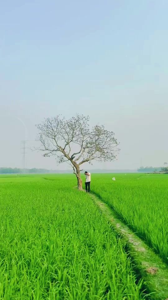 TikTok video thumbnail by nixon_jiam