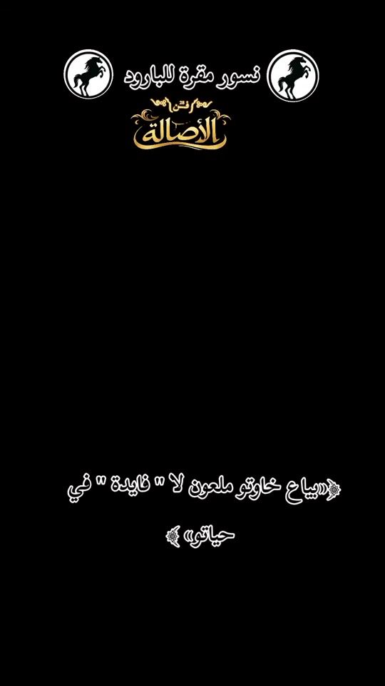 TikTok video thumbnail by elhouari.taleb