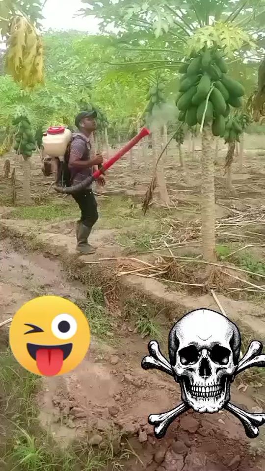 TikTok video thumbnail by robert.acevedo91