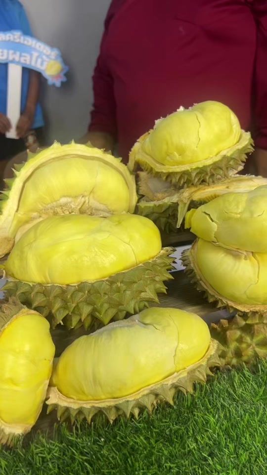 TikTok video thumbnail by ai_beam