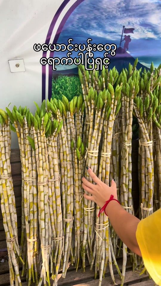 TikTok video thumbnail by userthefloralhill2023