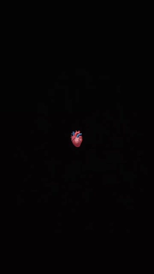 TikTok video thumbnail by niloofrrahmani6