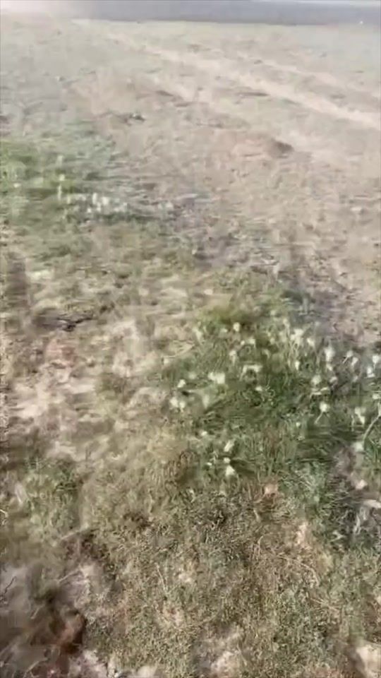 TikTok video thumbnail by munibabbas1235