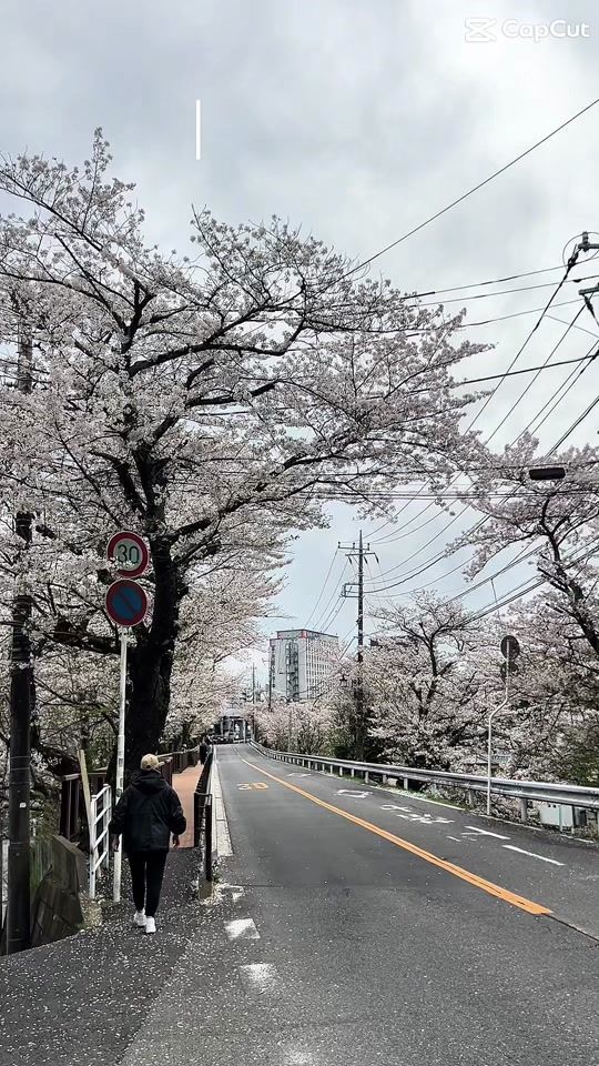 TikTok video thumbnail by jumpar_1998