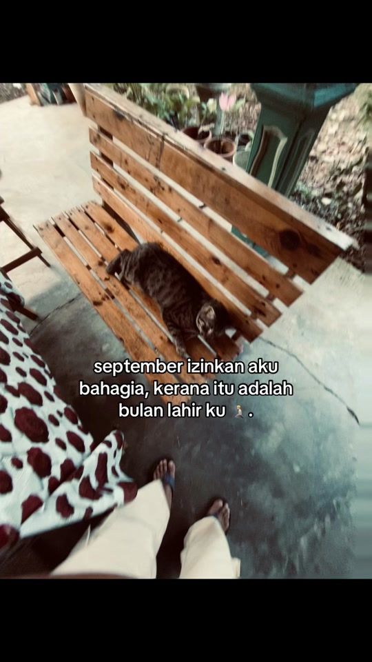 TikTok video thumbnail by user1116153016433