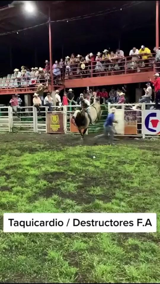 TikTok video thumbnail by sequeira862
