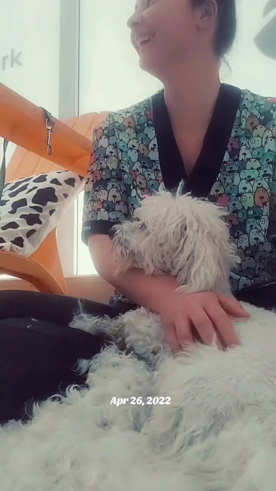 TikTok video thumbnail by centralbarkskopje