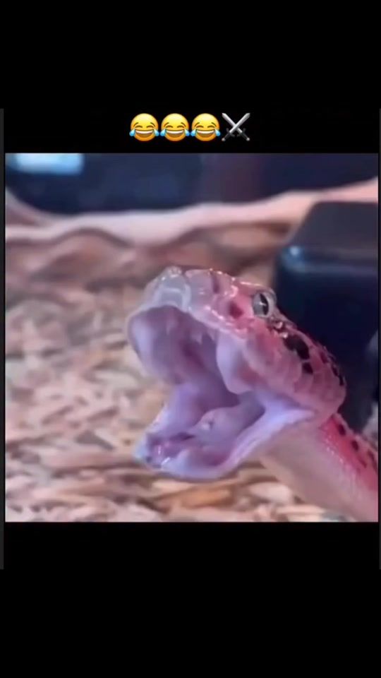 TikTok video thumbnail by ayten_ismayilli