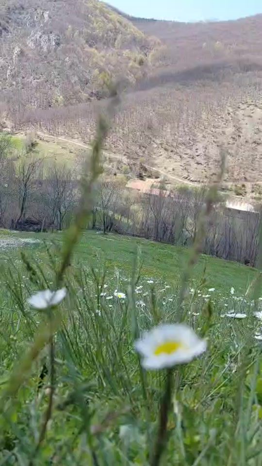 TikTok video thumbnail by melek_4875