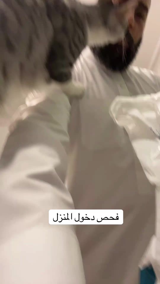 TikTok video thumbnail by hamshary.cat
