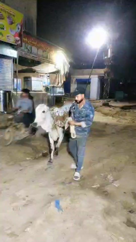 TikTok video thumbnail by kashifhanif9