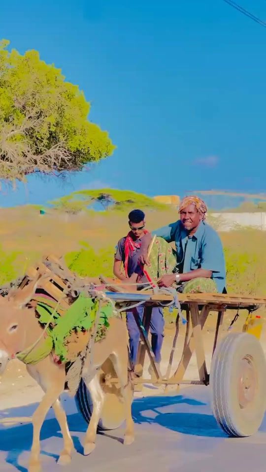 TikTok video thumbnail by ganshanleilalaqaran
