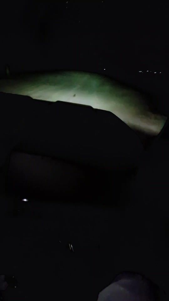 TikTok video thumbnail by .510086