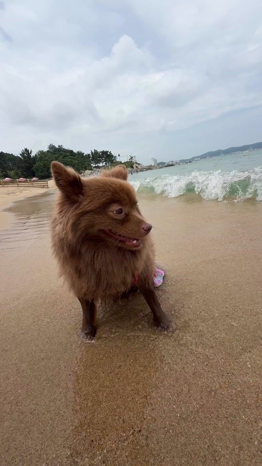 TikTok video thumbnail by br0wnbam