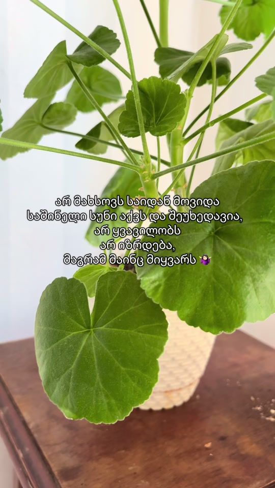 TikTok video thumbnail by bitsweet.becoming