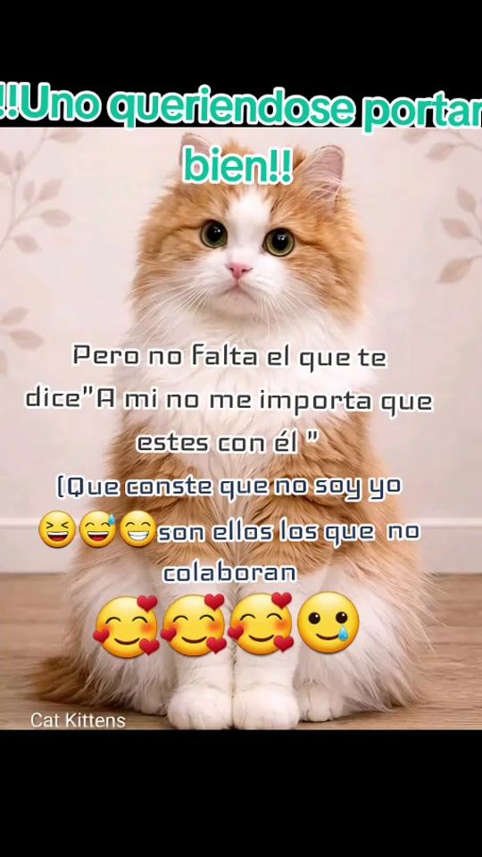 TikTok video thumbnail by edithkarinpalomin3