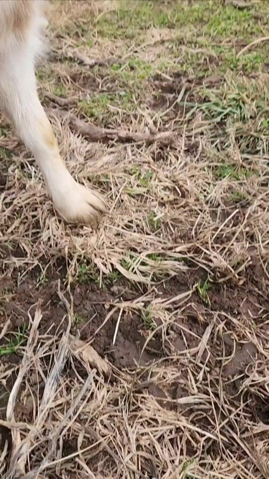 TikTok video thumbnail by goif....3310_0