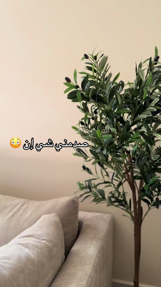 TikTok video thumbnail by reeme.days