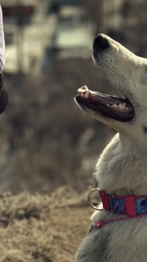 TikTok video thumbnail by dogkadzu