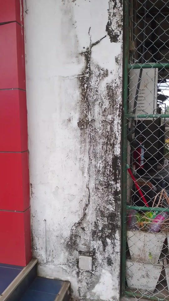 TikTok video thumbnail by fasloon_singer