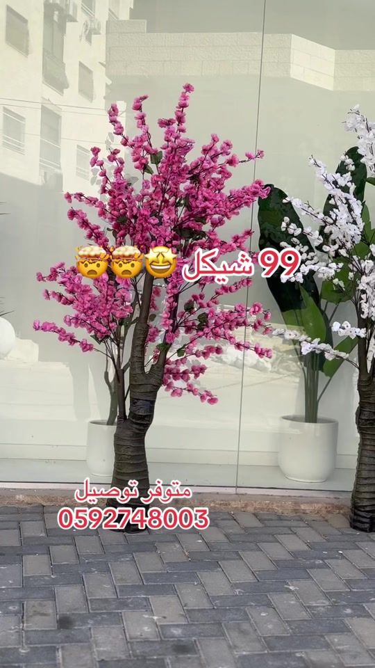 TikTok video thumbnail by chic_home77