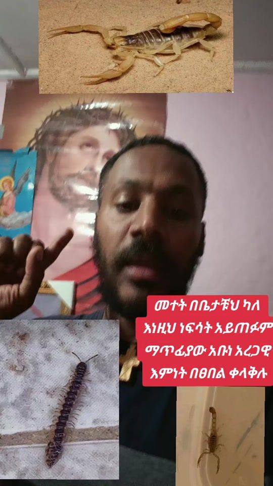 TikTok video thumbnail by tadaelyearsemalije