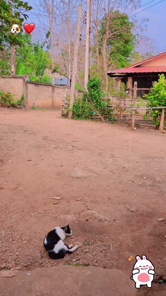 TikTok video thumbnail by locky0712