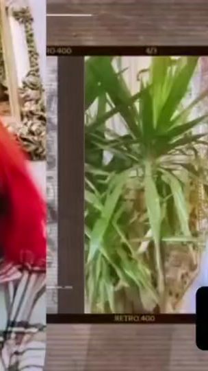 TikTok video thumbnail by joyayyad