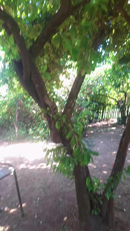 TikTok video thumbnail by rosanavillalba32