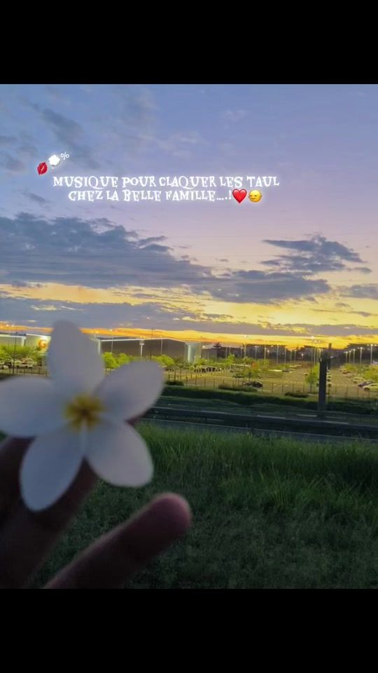 TikTok video thumbnail by _ygreckesash_
